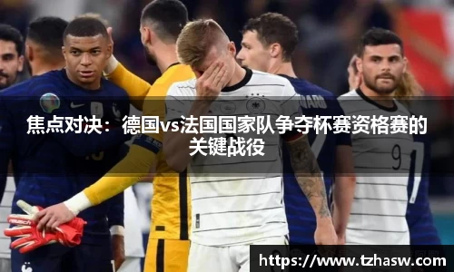 熊猫体育