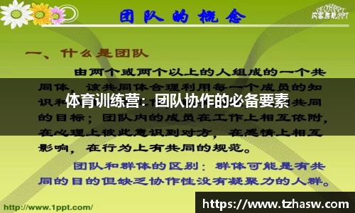 体育训练营：团队协作的必备要素