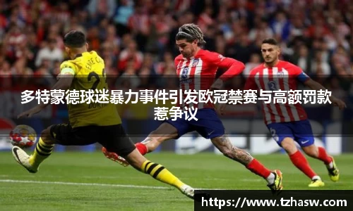 多特蒙德球迷暴力事件引发欧冠禁赛与高额罚款惹争议